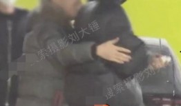 刘大锤最新爆料家暴视频,最新家暴视频曝光，真相令人震惊！